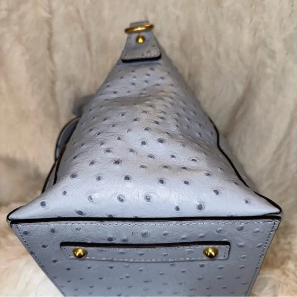 Dooney & Bourke Naomi Emerson Ostrich Satchel in Glacier Blue - Picture 4 of 12